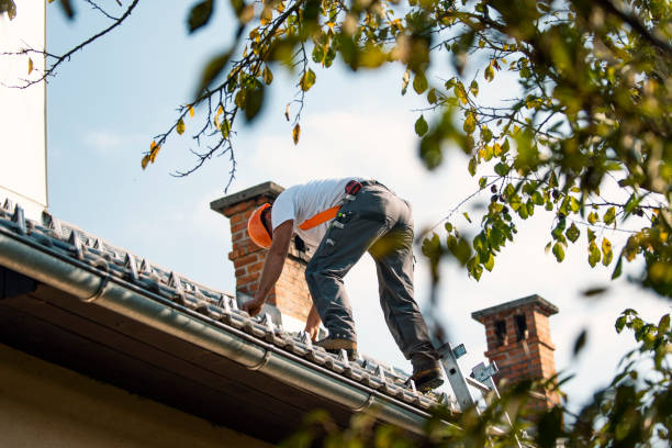 Best Roof Maintenance Services  in Collierville, CA